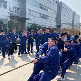 文化風(fēng)采插圖28